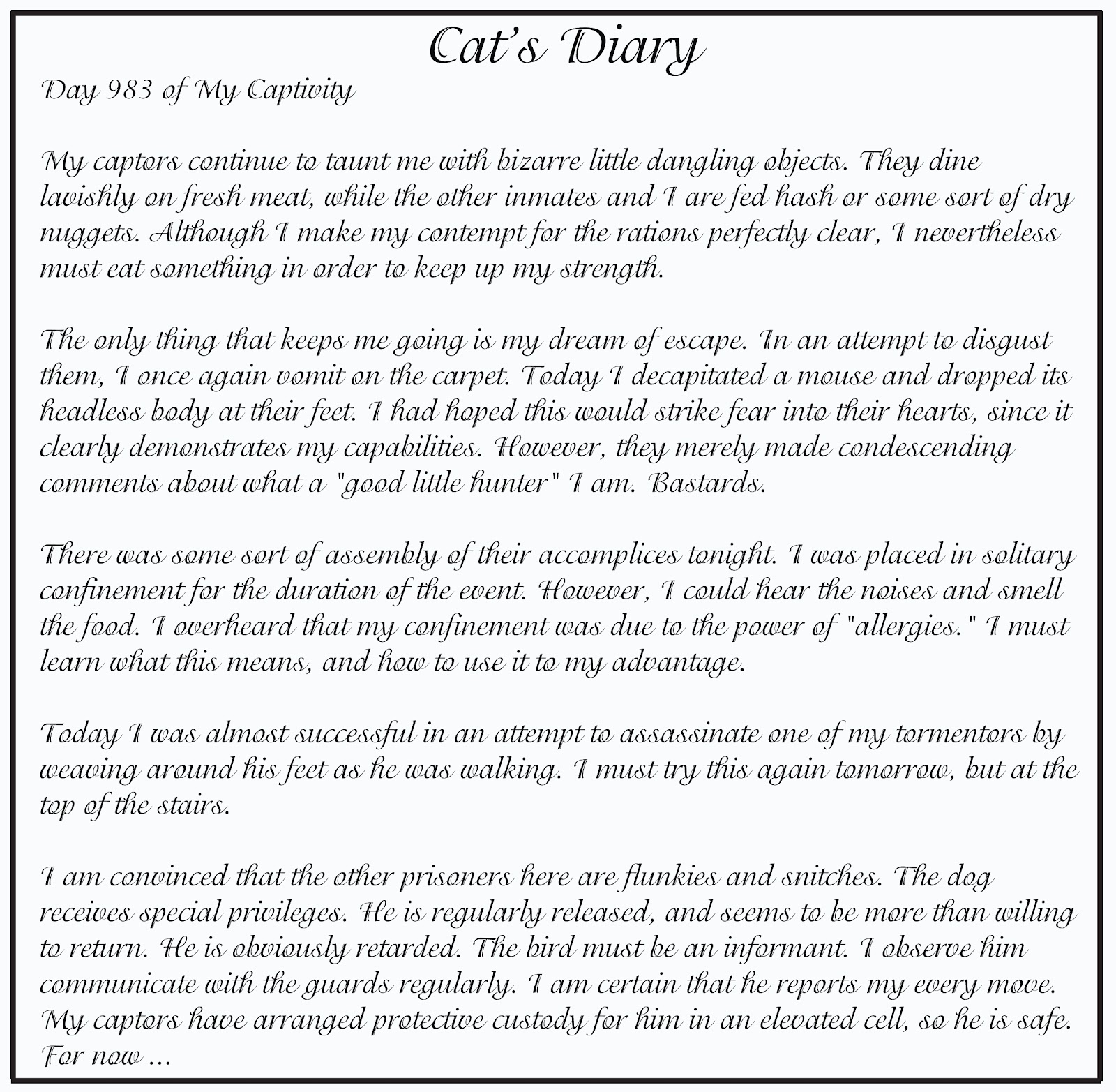 cat and dog diary cat and dog diary